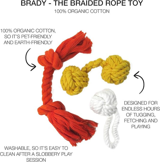 Pet Passion Brady The Rope Tug Toy 3-Pack Organic Cotton Dog Rope Pull Toys for All Pet Breeds, Halloween, One Size