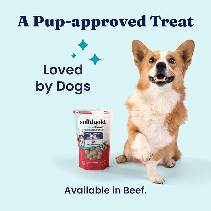 Solid Gold Freeze Dried Dog Food - W/Real Beef, Pumpkin & Superfoods - Freeze Dried Raw Dog Food Toppers for Picky Eaters to Serve as a Nutrient-Dense Meal Topper or High Protein Treats - 1.5oz