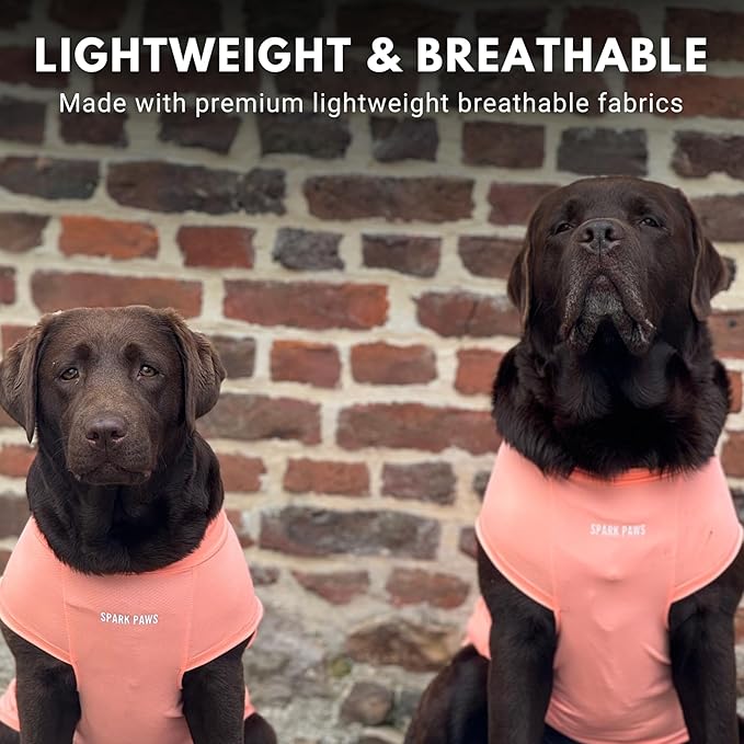 Spark Paws Sunblock Dog T-Shirt, SPF30 Protection, Lightweight Breathable Quick Dry for Dogs with Sensitive Skin - Peach & Mint (Set of 2) - S