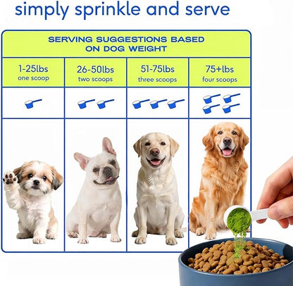 Dog Multivitamin - Pet Vitamins and Supplements 45-in-1 Daily to Support Joint, Immune System, Digestive Health, Skin & Coat with Chondroitin, Omega 3 & Probiotics, 8.8oz