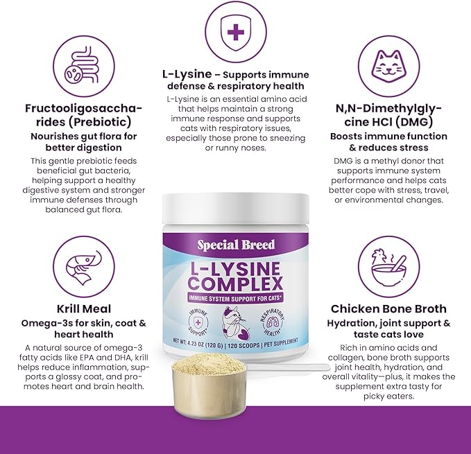 Special Breed L-Lysine for Cats and Kittens – Immune, Respiratory and Eye Support – Cat Sneezing and Runny Nose Relief – Lysine Powder with Prebiotics, Krill, Bone Broth and DMG – 120 Servings