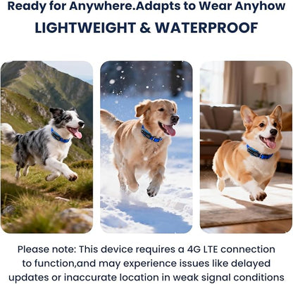 AI GPS Dog Tracker, Virtual Fence & AI Health Monitor, Waterproof