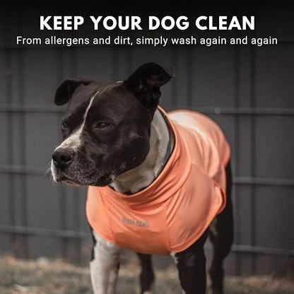 Spark Paws Sunblock Dog T-Shirt, SPF30 Protection, Lightweight Breathable Quick Dry for Dogs with Sensitive Skin - Purple & Peach (Set of 2) - 3XL