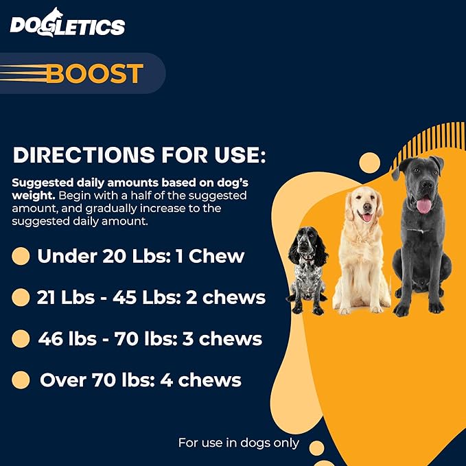 Boost Active Dog Support: Improve Energy, Endurance, Recovery & Longevity- 90ct USA Made with Real Bacon