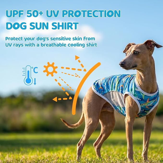 UPF 50+ Sun Protection Dog T-Shirt, 2 Pack Lightweight Sleeveless Dog Vest for Small Medium Dogs Boy – Reflective Strips, Quick-Dry Pet Apparel, Sports Fan Shirt P23ST00506XL