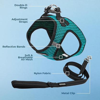 Best Pet Supplies Voyager Step-in Air All Weather Mesh Harness and Reflective Dog 5ft Leash Combo with Neoprene Handle, for Small, Medium and Large Breed Puppies - Set (Turquoise 2-Tone), Small
