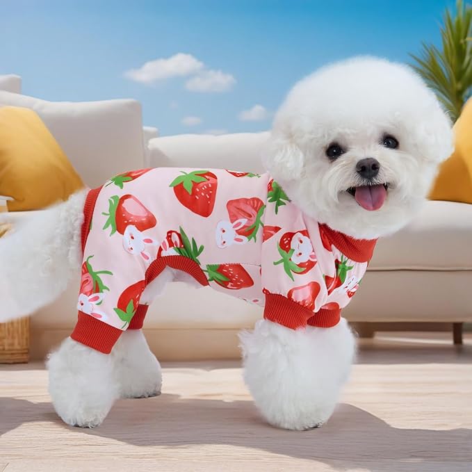 XPUDAC 4 Pieces Dog Pajamas Small Sized Dogs Boy Girl Strechy Soft Pjs Summer Pet Clothes for Dog Cat Puppy Onesies, 2XL