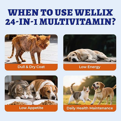 Wellix 4.06 FL oz 24-in-1 Liquid Multivitamin with Taurine for Dogs & Cats, Pet Vitamins and Supplements with Glucosamine, Cranberry, MSM, Probiotics - Itch&Allergy Relief, Joint Supplement for Pets