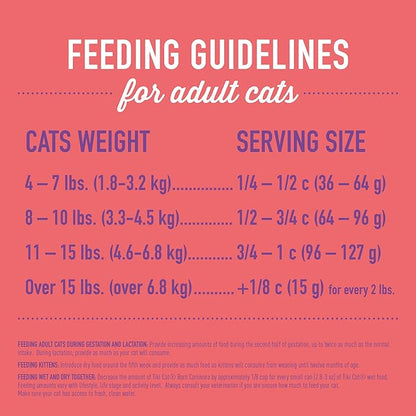 Tiki Cat Born Carnivore High Protein Dry Cat Food, Chicken Herring & Salmon Meal, 2.8 lbs. Bag