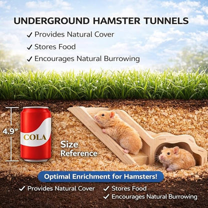 Small Size Hamster Explorer Set - Snap-Together Wooden Burrow with Panoramic Window, Natural Chew-Safe Design & Underground Activity Viewer for Cage Enrichment