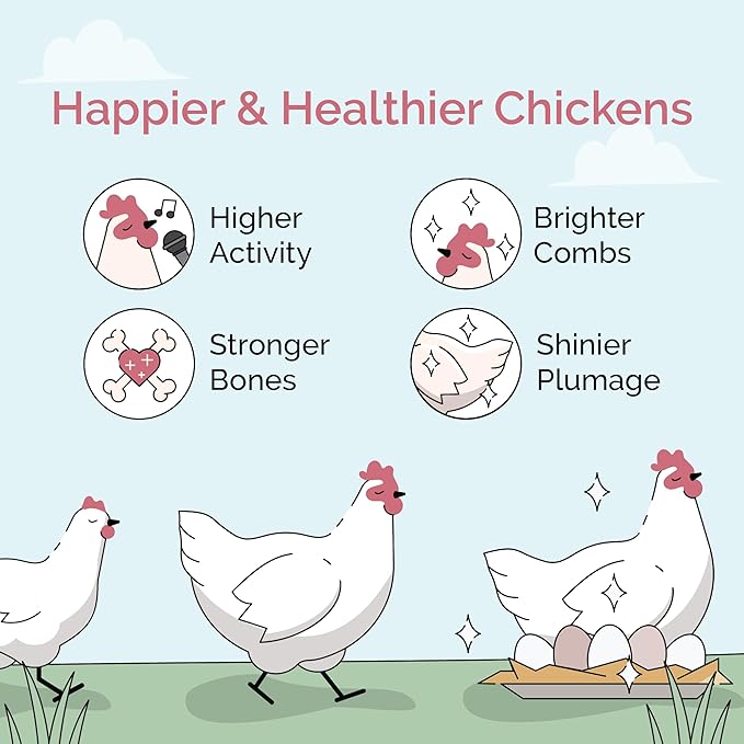 Mile Four Organic Chicken Feed (46 lbs) Grower Mash, Non-GMO, USA Grown, 18% Protein, Corn-Free, Soy-Free, Non-Medicated Feed for Chickens