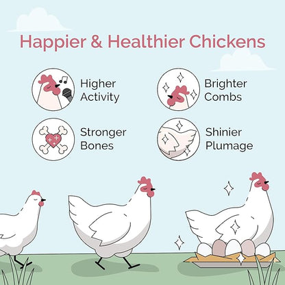 Mile Four Organic Chicken Feed (46 lbs) Grower Mash, Non-GMO, USA Grown, 18% Protein, Corn-Free, Soy-Free, Non-Medicated Feed for Chickens