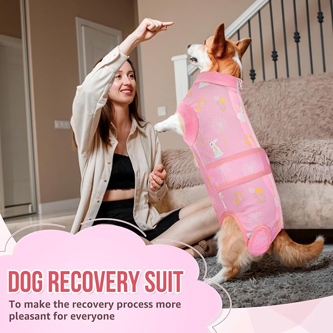 Lukovee Recovery Suit for Dogs, Zipper On Recovery Suit for Female Male Dog, Onesie Abdominal Wounds Cone E-Collar Alternative Prevent Licking Spay Recovery Suit (M, 2PI)