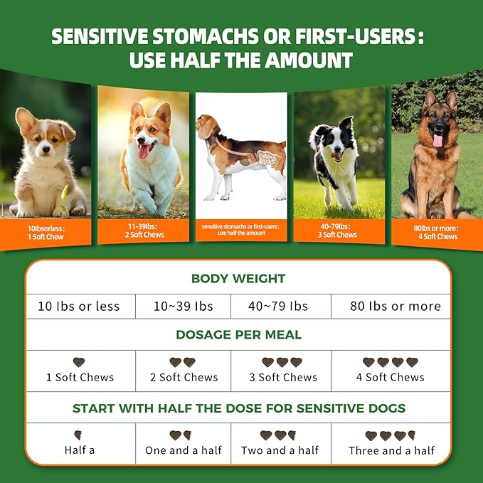 Probiotic Soft Chews for Dogs, Daily Probiotic for Dogs, Dog Probiotics with Digestive Enzymes & Prebiotics, Gut Health & Sensitive Stomach Support（TESTER-15 Ct）
