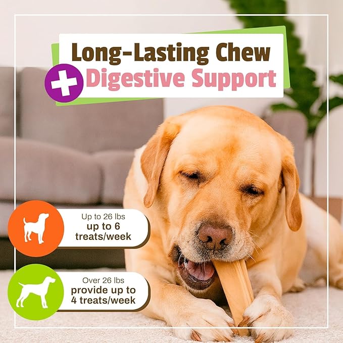 Pet Naturals BusyButter Balanced Belly Peanut Butter Bones, Rawhide-Free Chews for Medium/Large Dogs, Long Lasting Chew Bones, Probiotics and Pumpkin for Gut Health, 4 Count