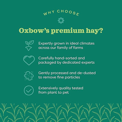 Oxbow Western Timothy Hay for Small Pets – All-Natural Grass Hay for Rabbits, Guinea Pigs, and Chinchillas – High Fiber for Digestive Health and Dental Support – 40 oz Bag