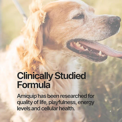 Amiquip Senior Dog Supplement – Joint Support, Cellular Vitality & Longevity for Healthy Aging – 90-Day Soft Chews with PQQ + Palmitoylethanolamide