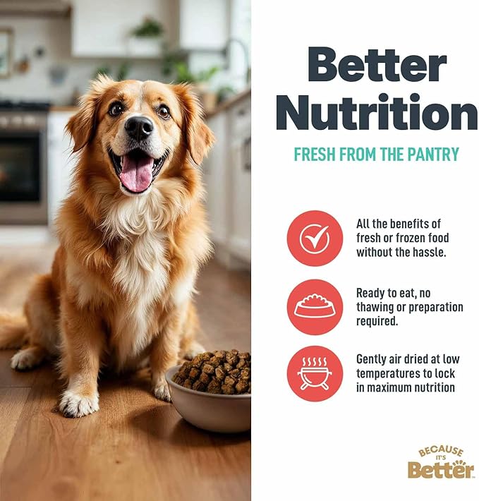 Because It’s Better Slow Baked & Air Dried Dog Food - Real Beef & Veggies - Complete & Balanced Dry Dog Food - Grain Free, High Protein, Natural Nutrition for All Life Stages, 3 lb Bag