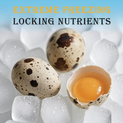 Freeze Dried Quail Egg Yolk Dog Cat Treats, Single Ingredient Raw Snacks, High Protein, Supports Skin & Coat Health, Freeze Dried Dog Treats, No Additives, Grain & Gluten Free – 4.5oz