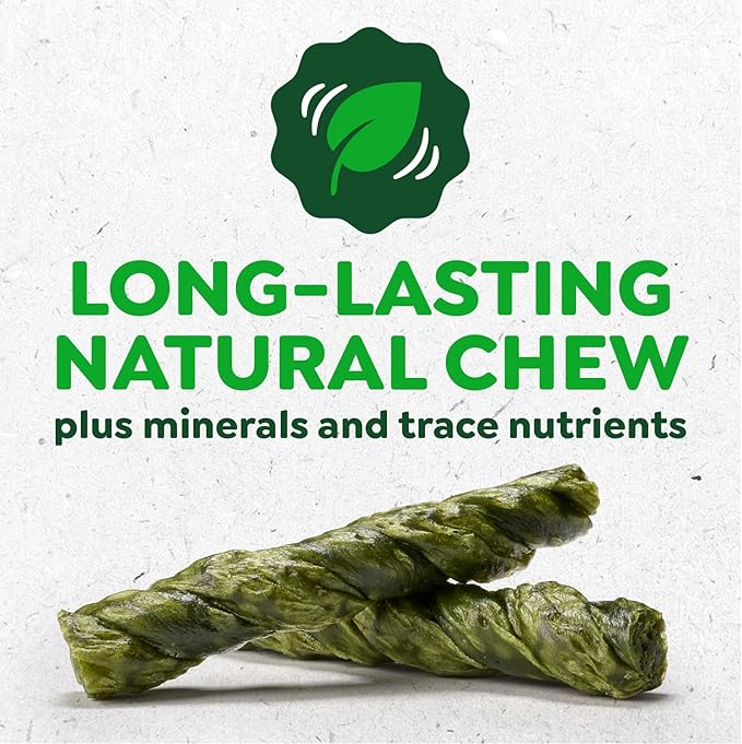 Greenies Occupy Twists Natural Dog Treats Regular Size Dog Chews Long Lasting Chicken Flavor, 34.6 oz. Pack, 24 Count