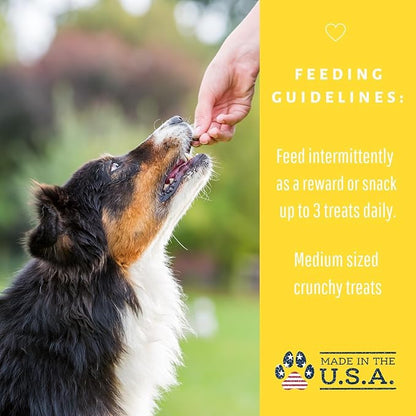 Dog Mamma's Organic Peanut Butter Banana Recipe - Certified Organic Dog Treats 6 oz
