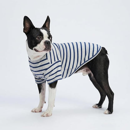 Fitwarm 3 Pack Color Block Striped Dog Shirt, Summer Dog Clothes for Small Dogs, Breathable Lightweight Pet Tshirt with Sleeves, Cat Outfit, Red, Blue, Grey