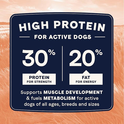 CANIDAE All Life Stages High Protein Dry Dog Food, Salmon & Ancient Grains Recipe, 4 lbs. (Pack of 2)