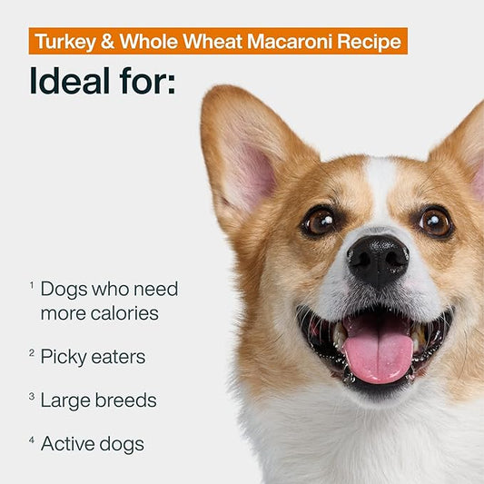 JustFoodForDogs Pantry Fresh Wet Dog Food Complete Meal or Dog Food Topper, Turkey & Whole Wheat Macaroni Human Grade Dog Food Recipe - 12.5 oz (Pack of 12)