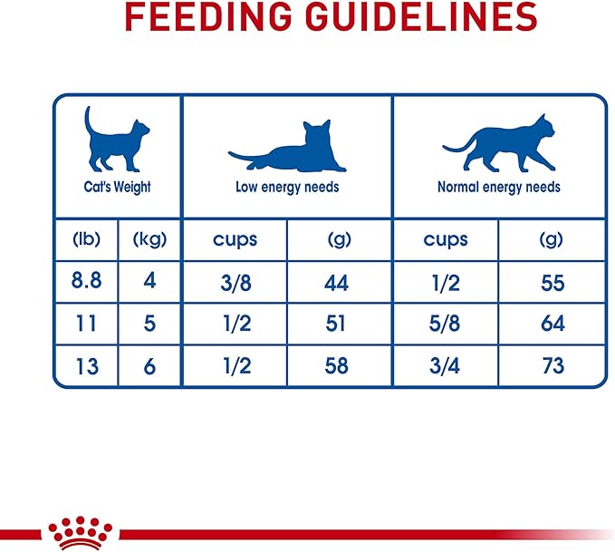 Royal Canin Feline Health Nutrition Indoor Long Hair Adult Dry Cat Food, 6 lb Bag