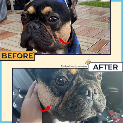 Bulldog Skin Care(Pack of 3)Paste for Bulldogs Wrinkle+Wrinkle Wipes For French Bulldogs+Skin Relief for Dog-Say Bye To Rash,Redness On French Bulldog & English Bulldog, Pug-Frenchie Dog Accessories