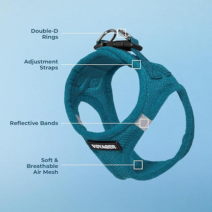 Best Pet Supplies Voyager Step-in Air Harness - All Weather Mesh, Reflective, No Pull Harness for Dogs, Cats - Secure with Hook & Loop Fastener, Buckle, Double D-Rings - Turquoise, XXS