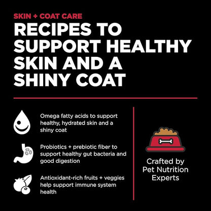 Go! Solutions Skin + Coat Care Lamb Dry Dog Food with Grains, Chicken-Free, Healthy Kibble with Omega-3s & 6s for Soft, Shiny Fur, for Puppies, Adults, & Seniors, 3.5 lb Bag