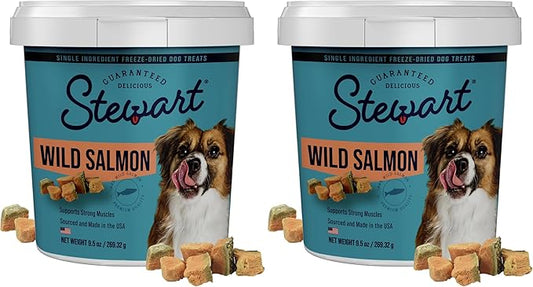 Stewart 100% Wild Salmon Dog Treats, 9.5 oz Tub, ~190 Pieces, Freeze Dried Raw, Ingredient, 65% Protein Training Treats or Meal Topper, Grain Free, Gluten Free (Pack of 2)