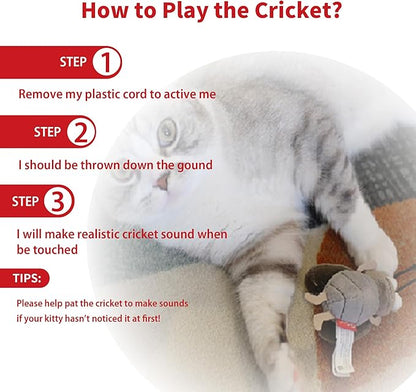 PETGEEK Gigwi Simulated Chirping Bird Cat Toy, Fake Toys for Indoor Cats, Melody Chaser Cat Toys with Hanging Loop for Bored Indoor Adult Cats Kittens Interactive Play (Cricket)