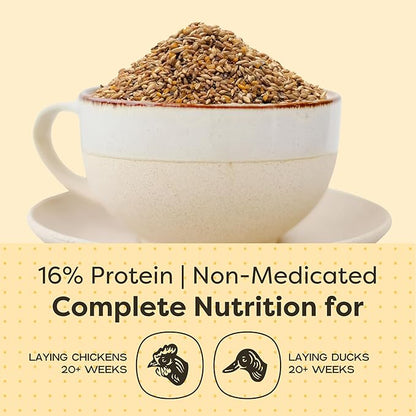 Scratch and Peck Feeds Whole Grain Layer Mash Chicken and Duck Feed - Corn-Free and Soy-Free - 16% Protein, Certified Organic and Non-GMO Project Verified Chicken Food - 50 lbs Bag