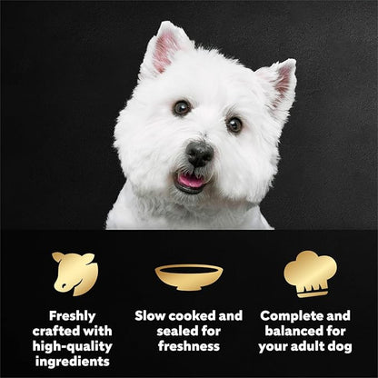 Cesar Filets in Gravy Wet Dog Food, Angus Beef Flavor, 1.76 oz. Mini-Pouch, 20 Count