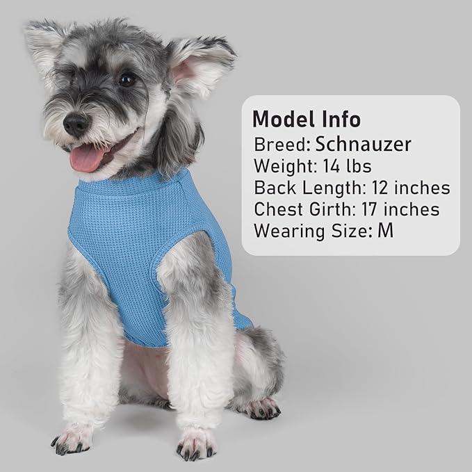 KYEESE 2Pack Waffle Dog Shirts, Lightweight Sleeveless Dog T Shirts for Small Dogs Boy, Breathable Pet Vest Comfort Tank Top Soft Dogs Clothes for Daily Wear, Blue+Striped, M