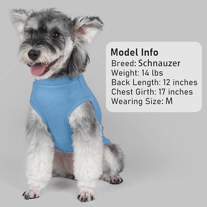 KYEESE 2Pack Waffle Dog Shirts, Lightweight Sleeveless Dog T Shirts for Small Medium Dogs Boy, Breathable Pet Vest Comfort Tank Top Soft Dogs Clothes for Daily Wear, Blue+Striped, XL