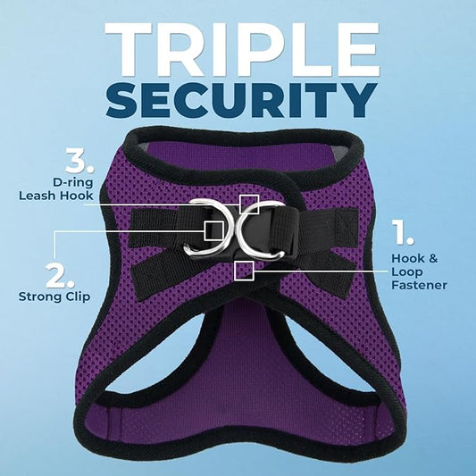 Best Pet Supplies Voyager Step-in Air All Weather Mesh Harness and Reflective Dog 5ft Leash Combo with Neoprene Handle, for Small, Medium and Large Breed Puppies - Set (Purple/Black Trim), Medium