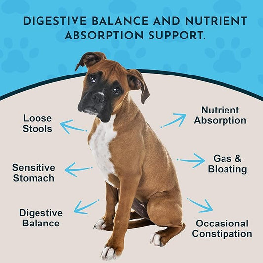 Animal Essentials Plant Enzyme & Probiotics - Probiotics & Digestive Enzymes for Dogs & Cats, Natural Daily Gut & Digestion Support Supplement for Pets, Plant Based - 3.5 Oz