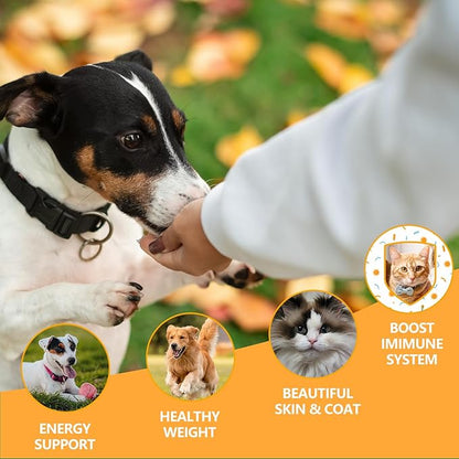 Freeze Dried Capelin with Roe Dogs Treats, Whole Fish for Dog & Cat - Single Ingredient, High Protein, Rich in Omega 3 for Skin & Coat Health, Grain-Free, Wild-Caught (6.4 oz)