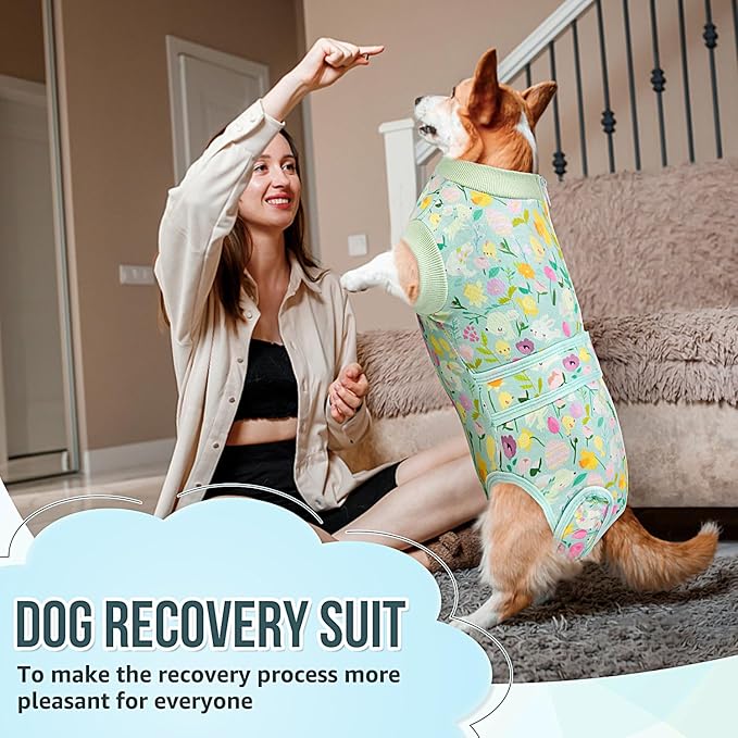 Lukovee Recovery Suit for Dogs, Zipper On Dog Surgery Suit for Female Male Dog, Onesies Bodysuit Prevent Licking Spay Abdominal Wounds Bandages E-Collar Alternative (Green, M)