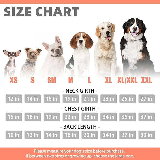 KOOLTAIL Dog Hoodie for Large Medium Small Dogs,Soft &Warm Pet Sweater with Leash Hole and Pocket Boy Girl,Puppy Fall Winter Jacket Clothes,French Pitbull Cold Weather Coat Sweatshirt,Orange SM