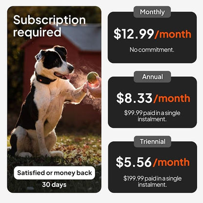 Weenect Dog XT - NEW GPS Collar for Dogs | XL Antenna | Waterproof | Ultra-Durable Integrated Julius-K9 Collar | Subscription Required