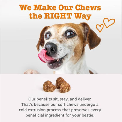 Zesty Paws Senior Allergy Immune Bites - Dog Allergy Chews, Dog Probiotics for Itchy Skin and Ears, Salmon, 90ct