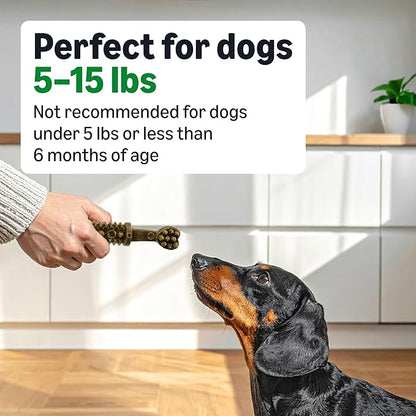 Amazon Basics Dental Dog Treats to Help Clean Teeth & Freshen Breath for Tiny Dogs, Unflavored, Per Pack: 130 Count, 2.25 pounds (Previously Wag)