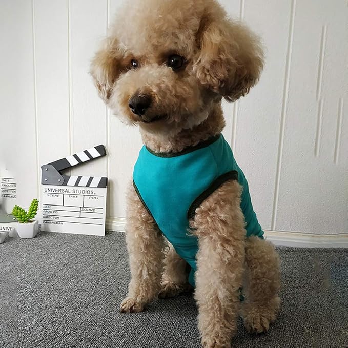 Dog’s Recovery Suit Post Surgery Shirt for Puppy, Wound Protective Clothes for Little Animals(Blue-s)