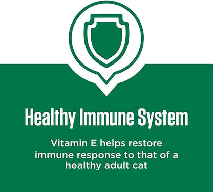 IAMS Proactive Health Senior Dry Cat Food, Cat Food Dry Chicken Recipe, Real Chicken in Every Bite, 7 lb. Bag