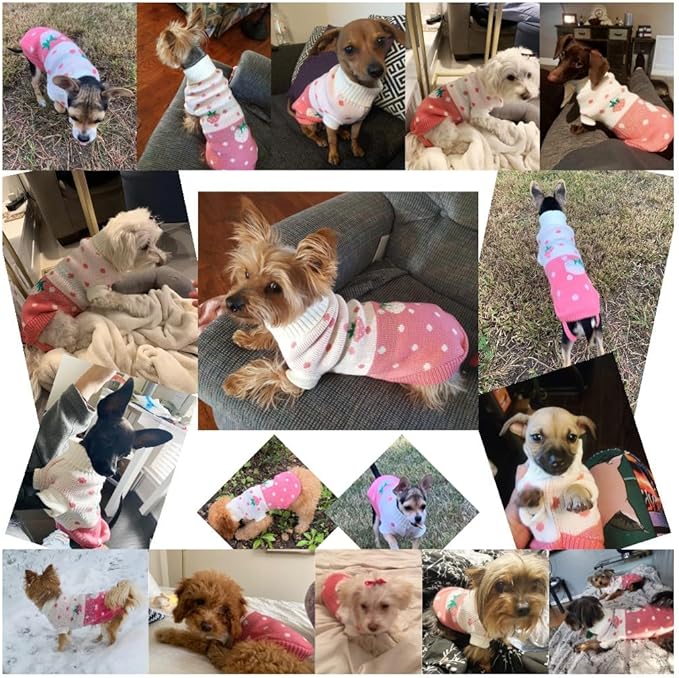 CHBORCHICEN Pet Dog Sweaters Classic Knitwear Turtleneck Winter Warm Puppy Clothing Cute Strawberry and Heart Doggie Sweater (Pink, X-Small)