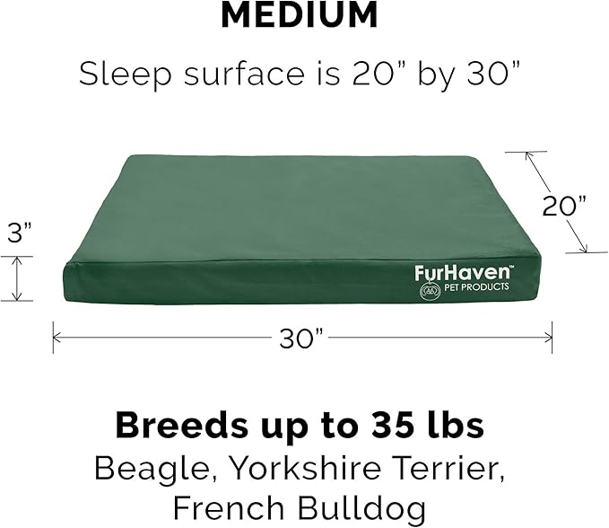 Furhaven Replacement Dog Bed Cover Water-Resistant Indoor/Outdoor Logo Print Oxford Polycanvas Mattress, Washable - Forest, Medium (Pack of 2)